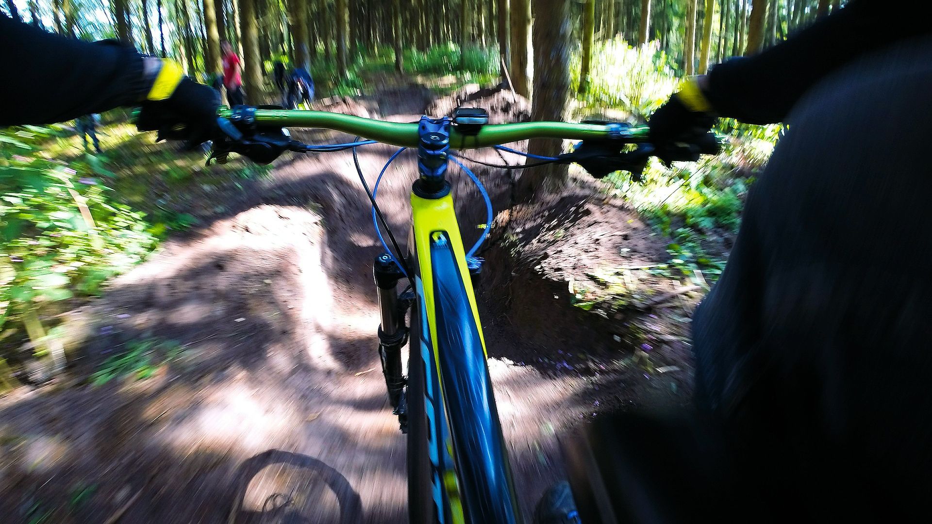 vtt foret